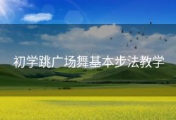 初学跳广场舞基本步法教学