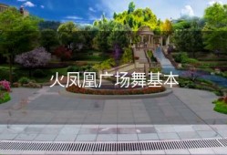 火凤凰广场舞基本