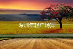 深圳年轻广场舞