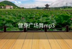 健身广场舞mp3