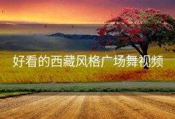 好看的西藏风格广场舞视频