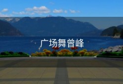 广场舞曾峰