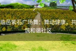临邑紫石广场舞：舞动健康，共筑和谐社区