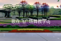 歌在飞广场舞教学dj