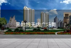 黑姑娘无内广场舞
