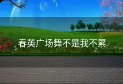 春英广场舞不是我不累