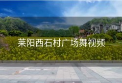 莱阳西石村广场舞视频