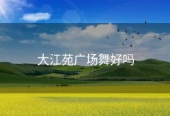 大江苑广场舞好吗