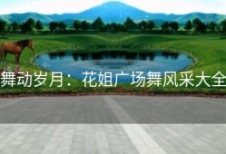 舞动岁月：花姐广场舞风采大全