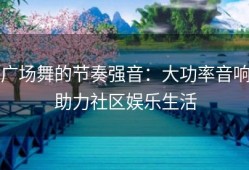 广场舞的节奏强音：大功率音响助力社区娱乐生活