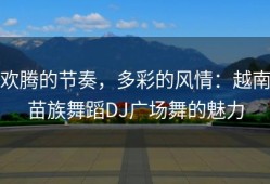 欢腾的节奏，多彩的风情：越南苗族舞蹈DJ广场舞的魅力