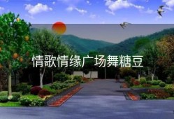 情歌情缘广场舞糖豆