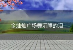 金灿灿广场舞沉睡的泪