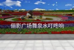 俪影广场舞泉水叮咚响