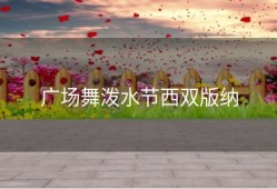 广场舞泼水节西双版纳