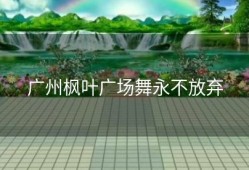 广州枫叶广场舞永不放弃