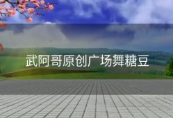 武阿哥原创广场舞糖豆