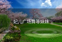 妃儿广场舞等妹妹