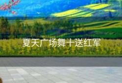 夏天广场舞十送红军