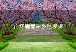 广场舞爱与乡愁视频