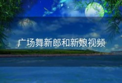 广场舞新郎和新娘视频