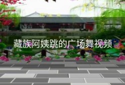 藏族阿姨跳的广场舞视频