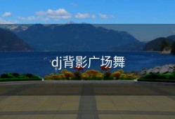 dj背影广场舞