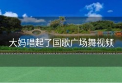 大妈唱起了国歌广场舞视频