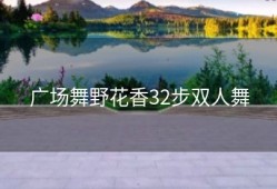 广场舞野花香32步双人舞