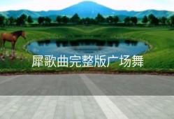 犀歌曲完整版广场舞