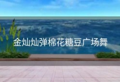 金灿灿弹棉花糖豆广场舞