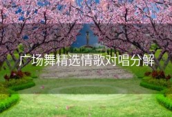 广场舞精选情歌对唱分解