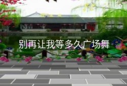 别再让我等多久广场舞