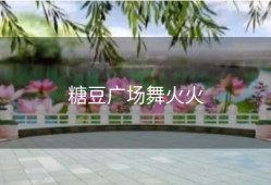 糖豆广场舞火火