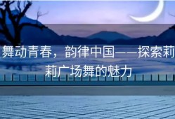 舞动青春，韵律中国——探索莉莉广场舞的魅力