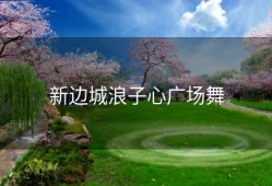 新边城浪子心广场舞