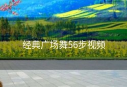 经典广场舞56步视频