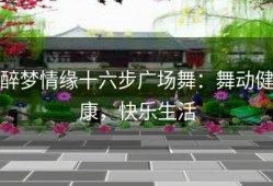 醉梦情缘十六步广场舞：舞动健康，快乐生活