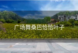 广场舞桑巴恰恰叶子