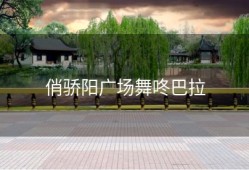 俏骄阳广场舞咚巴拉