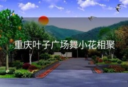 重庆叶子广场舞小花相聚