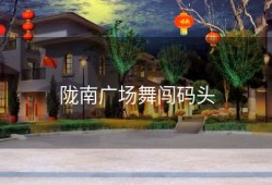 陇南广场舞闯码头