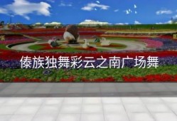 傣族独舞彩云之南广场舞