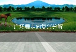 广场舞走向复兴分解