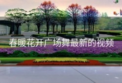 春暖花开广场舞最新的视频