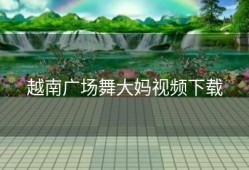 越南广场舞大妈视频下载