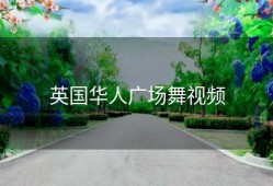 英国华人广场舞视频