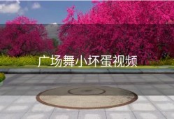 广场舞小坏蛋视频