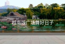 越南版广场舞好日子