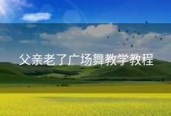 父亲老了广场舞教学教程